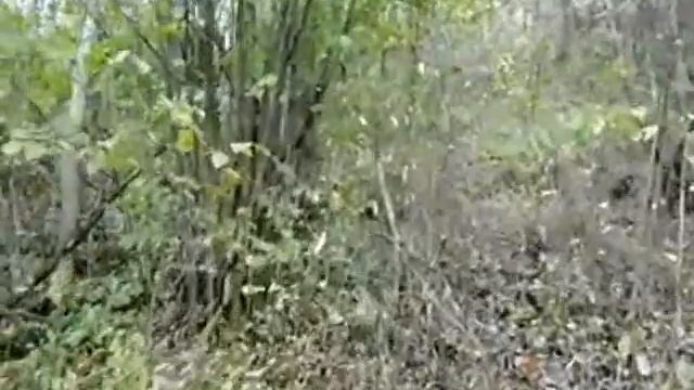 Последние дни Золотой Осени  16 10 2016 г  Автор Юрец В