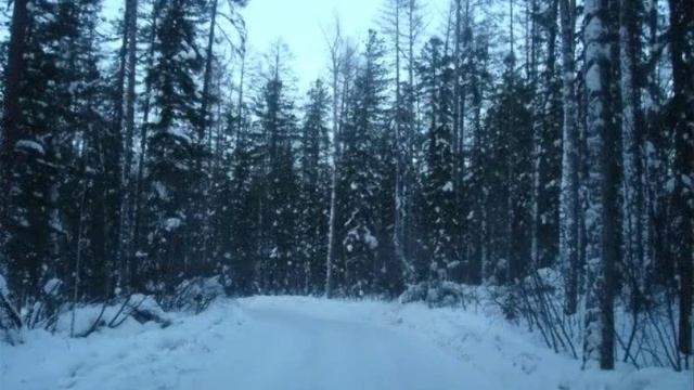 Виджео Ряд. ДАЛЬНОБОЙ - Паша Юдин . ( Музыка, стихи, аранжировка -П.Юдин)