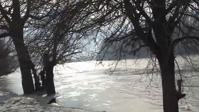 TisaJan2011.flv