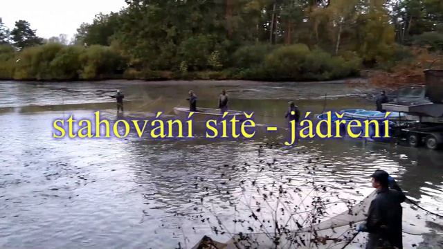 Výlov Švambírek 2020