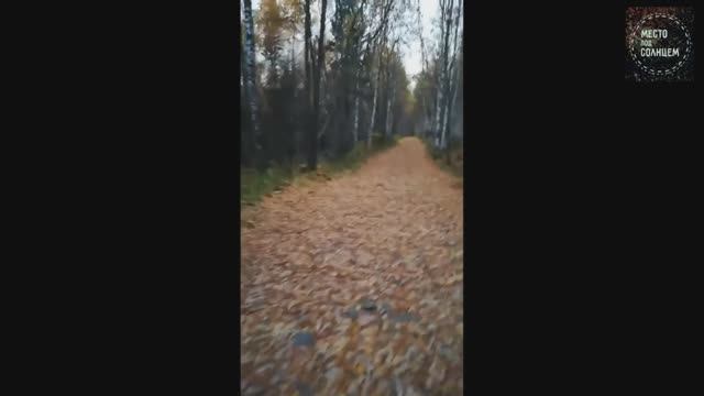 Дед Иремель, В Гостях у Троллей часть 6
