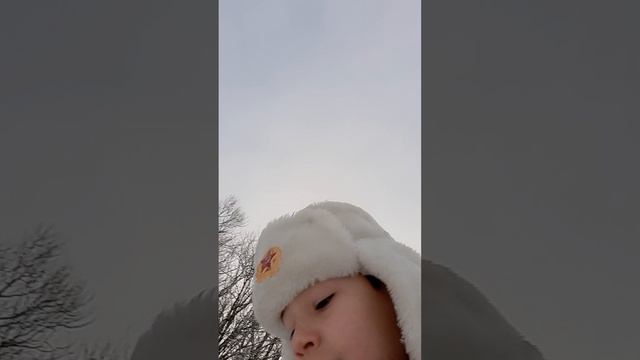 деревня Долматово вся в снегу