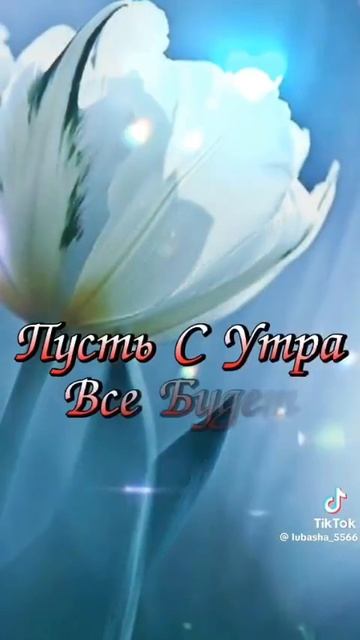 VID-20250216-WA0001