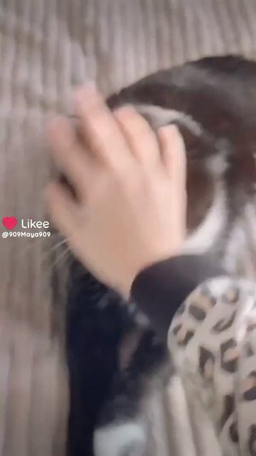 🤣🤣