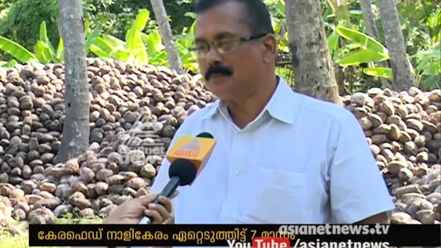 Coconut procurement scheme fails , Farmers in Crisis