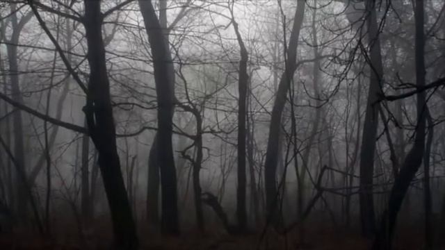 Gangstalking Technology - Using "Paranormal" and "Religious" SCRIPTS on T.I.s (Targeted individuals