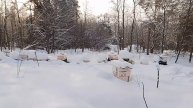 16 февраля_ Зимовка #бакфаста