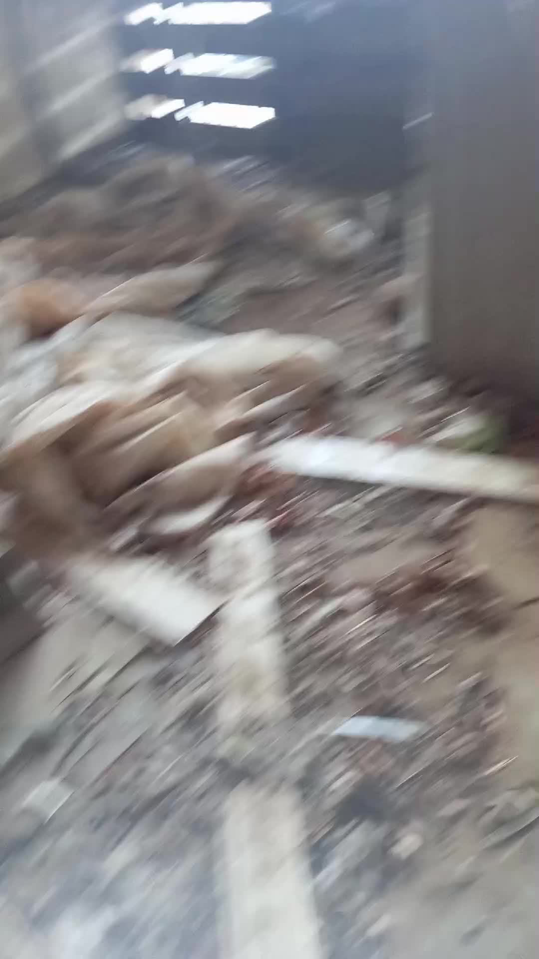 гуляем на корабле