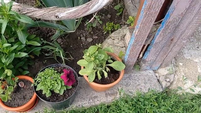 концервація на зиму/відкрила сезон/розводю кроликів