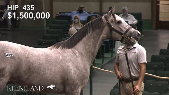 Keeneland September 2020: Hip 435 Tapit - Tara's Tango