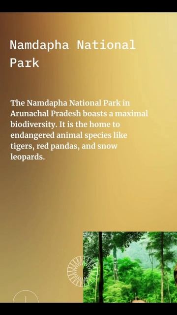 "Exploring the Enchanting Forests of India: A Visual Journey" Hashtags: #IndiaForest #NatureWander