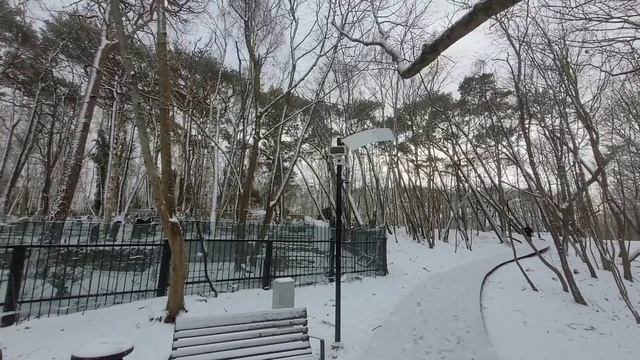 🤩ПРЕКРАСНЫЙ ЗАСНЕЖЕННЫЙ КАЛИНИНГРАД ❄️🥰 СОВЕРШИЛ БОЛЬШУЮ ПРОГУЛКУ ПО ЗЕЛЕНОГРАДСКУ🌊👍