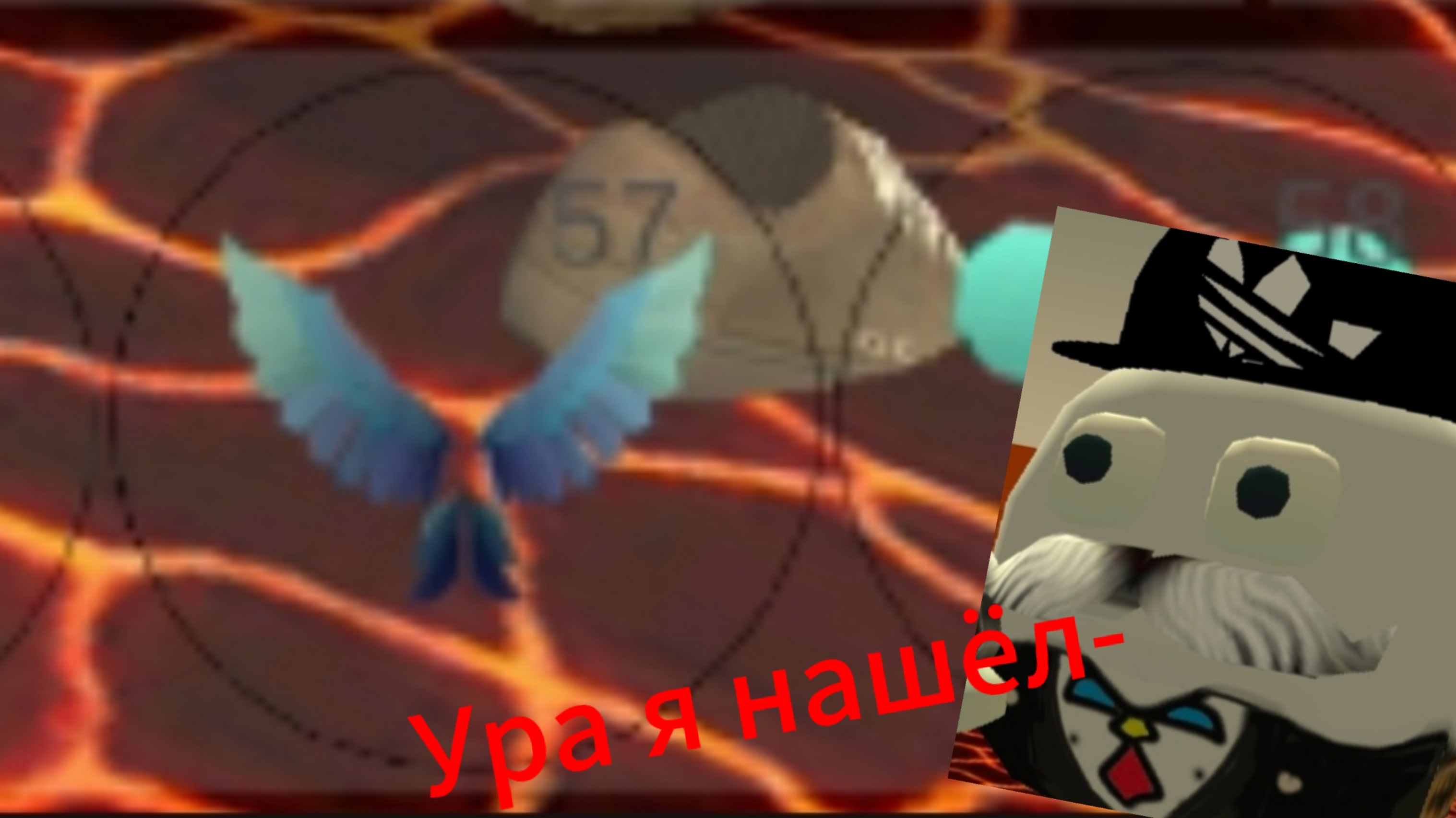 Первое видео, помогаю новичка найти крылья!!