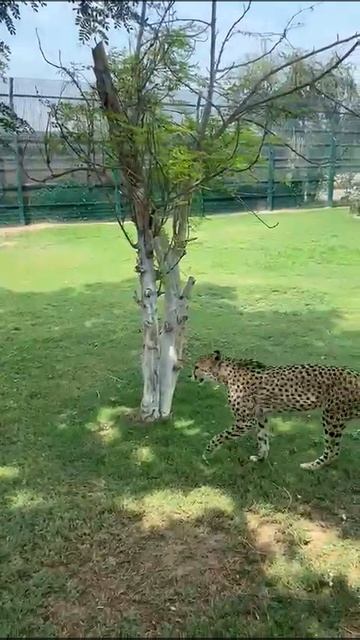 Путешествуйте выгодно
rosbillet.ru