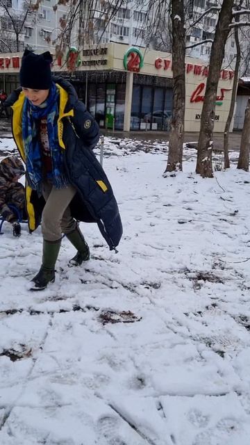 Братья катают на санках