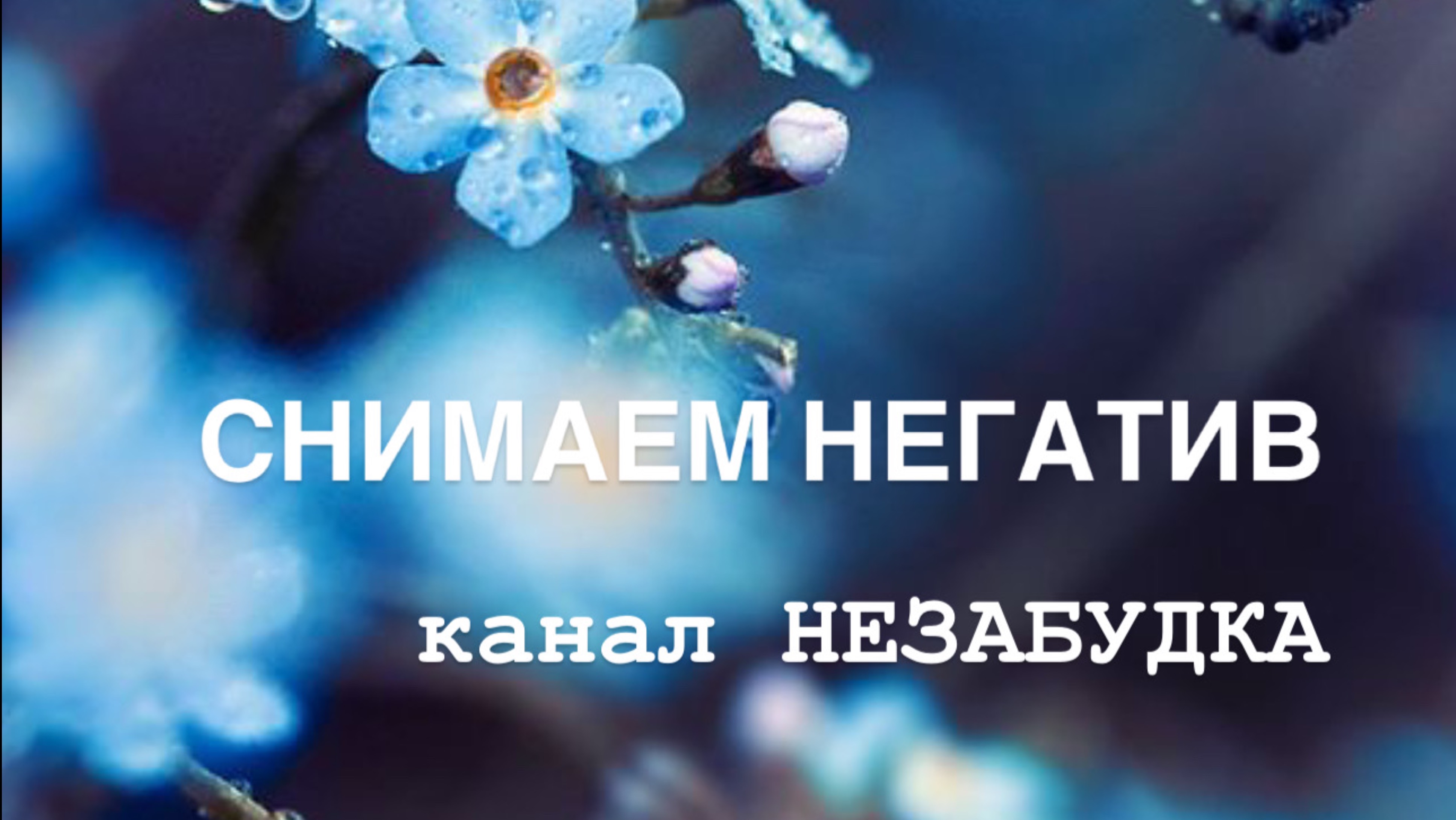 СНИМАЕМ НЕГАТИВ 👁️