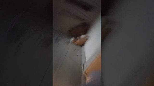 1000009902.mp4