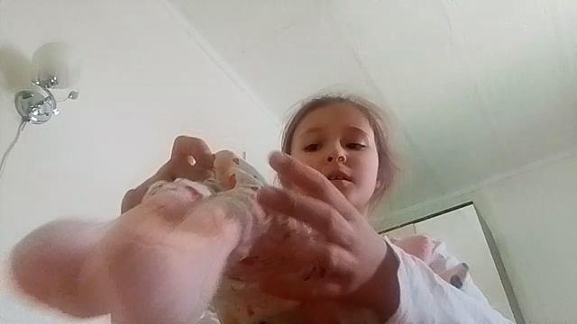 видео после мультфильма