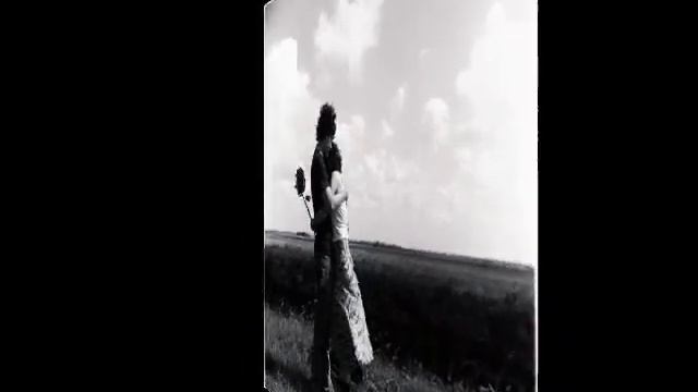 Celine Dion- I'm Alive.wmv