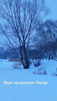 #питер #природа в городе.