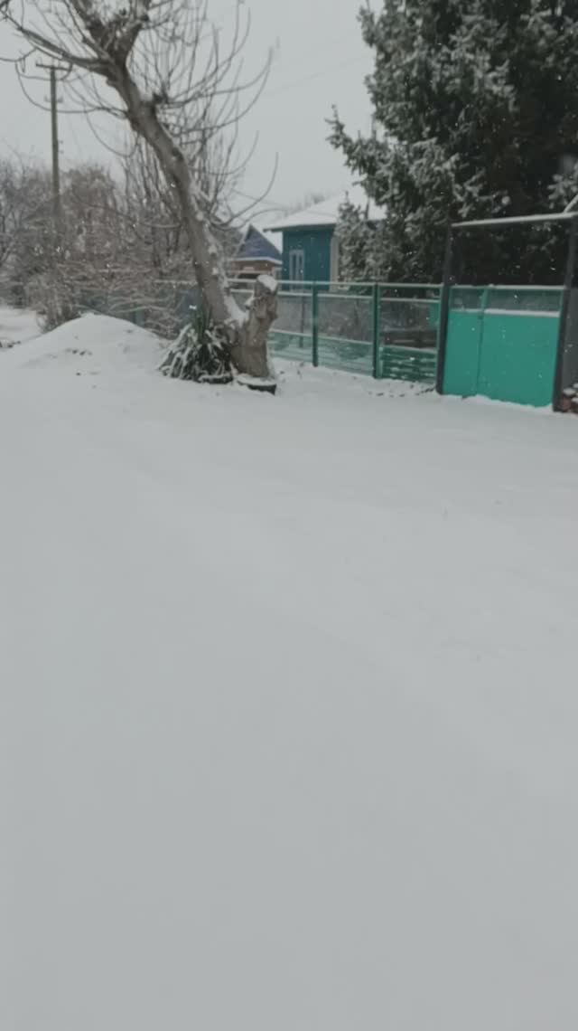 Зима вернулась 🌨️
