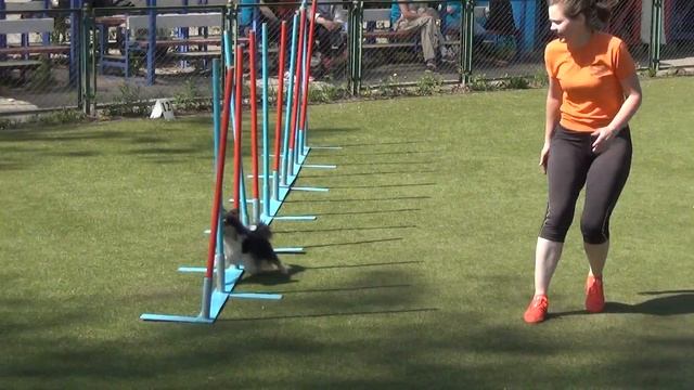 D-Toy Архипова Елена и Чита ч.2