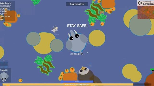 New Official Mope.io BATTLE ROYALE is here!  *Brand New*