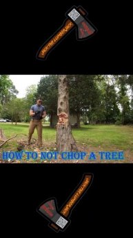 How Not to Swing an Axe #treecutting #fail #axe #cedartree