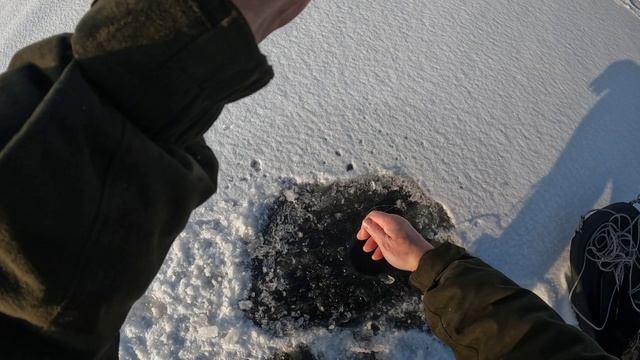 Ловим окуня. ФЗ. Репино. Атмосферное давление 791 р.с.