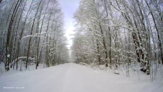 Блики Фауста. Часть 6.