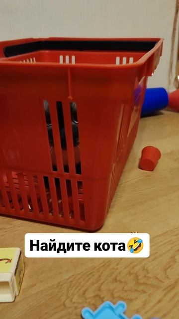 Найдите кота 🙏