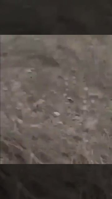 Наши Герои уничтожают Танк на блок посту Сум