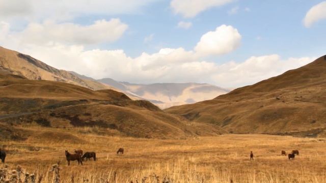 Concord Travel Tour Operator in Georgia, Visit to Georgia