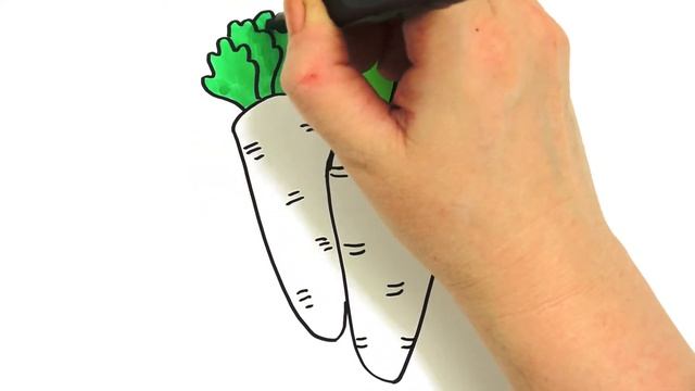 Bolalar uchun sabzi chizish/Drawing carrots for children/Рисунок морковь для детей