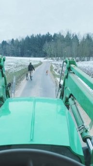 12487150_1080_1920_30fps