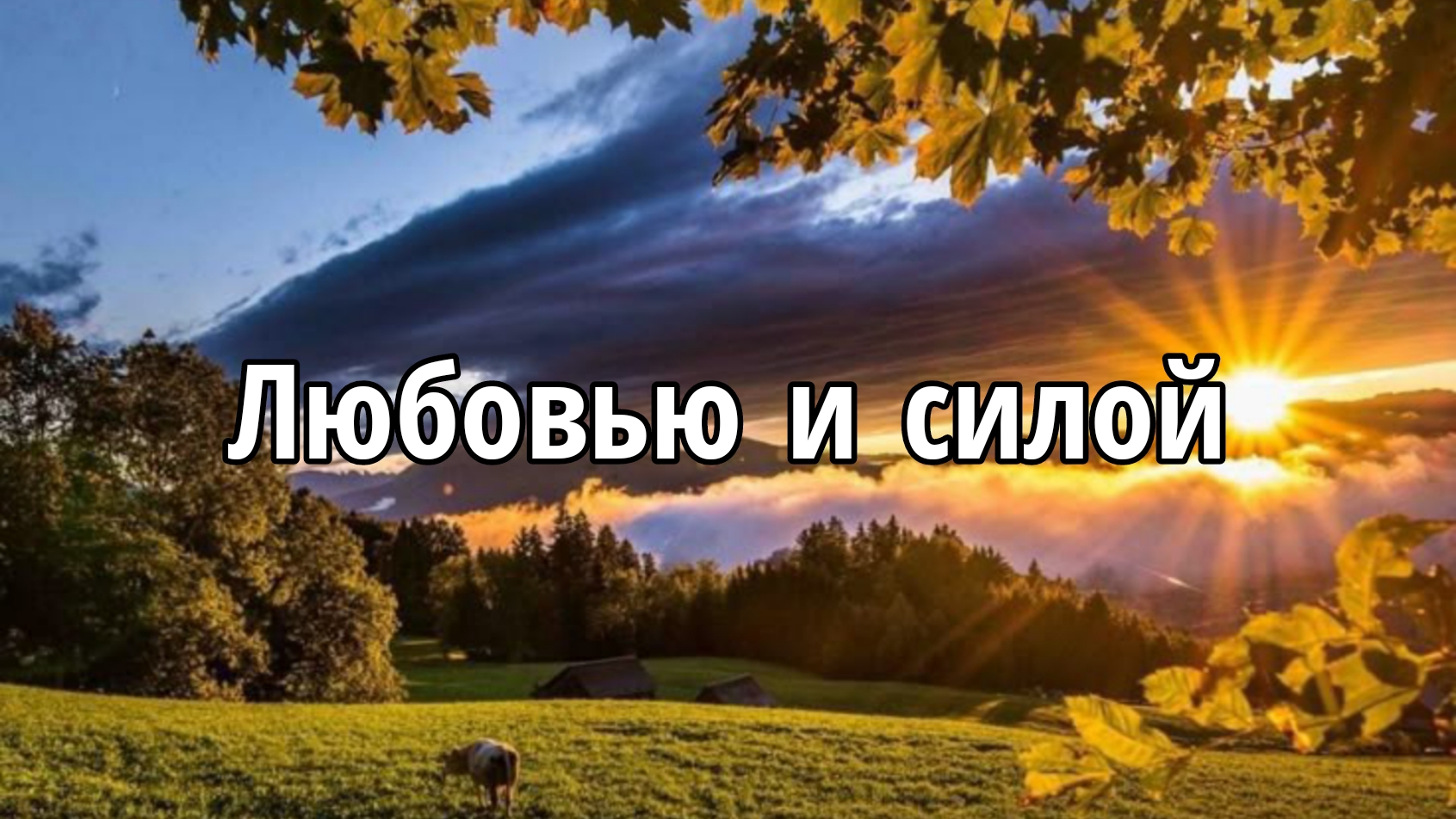 Любовью и силой