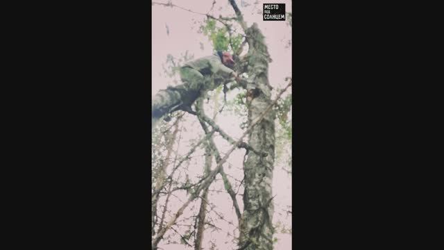 Нургуш часть 6