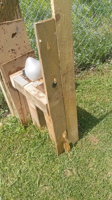 Make your bullets curve #airgun #pellets #plinking