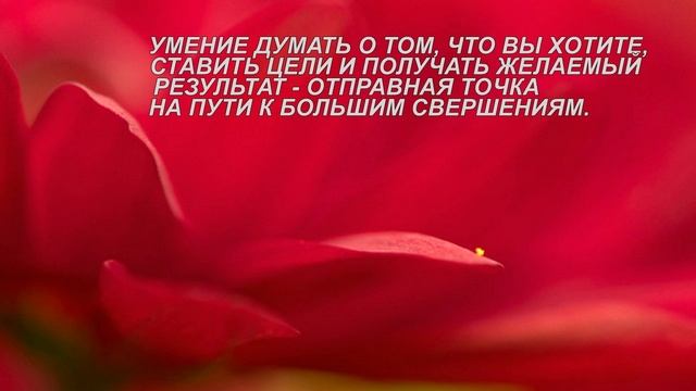 ЦИТАТЫ НА УСПЕХ