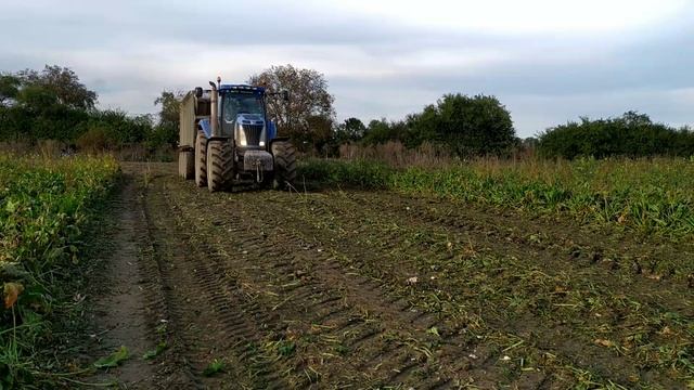 Repná Kampaň 2020 | Ropa euro tiger | New Holland T8040