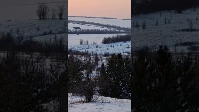 РГ Добыч по зайцу, вл. Солодовников Н.И.