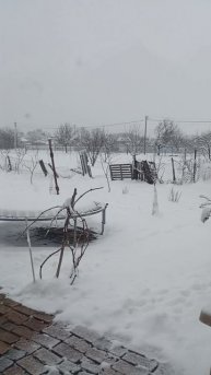 На юге зима