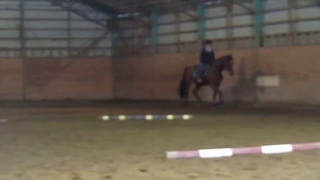 Will and Stephanie Flat work counter canter