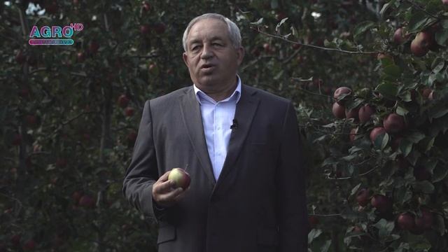 SOIURI DE MĂR PRETABILE PENTRU PRODUCERE ECOLOGICĂ