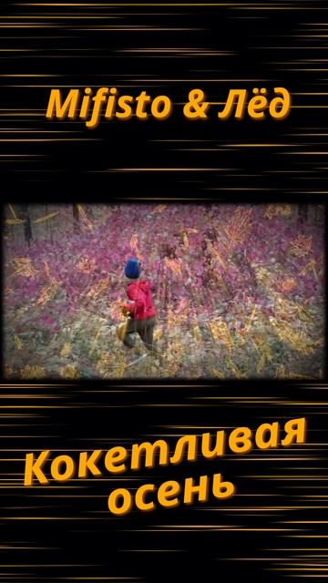 Кокетливая осень 1