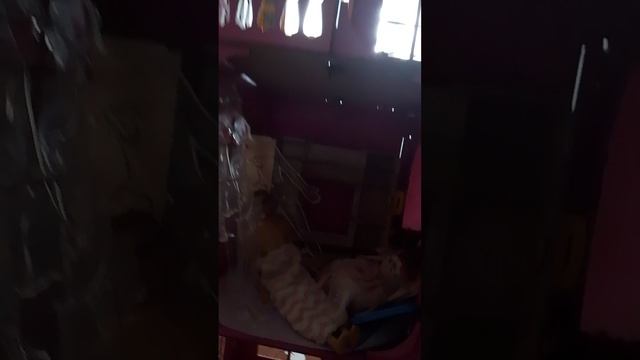 1000000401.mp4