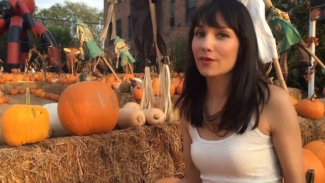 Vegan Pumpkin Recipes and Health Benefits