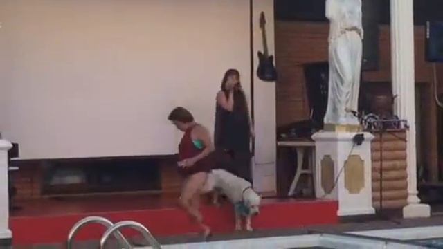 Алсу, Макс и Любомир Тян - младший...