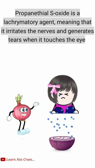 Why do onions make us cry? |How to Cut Onions Without Crying? |  Learn Not Cram #shorts