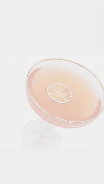 Elevate Your Mixology Game with Nim's Air-Dried Lime Slices: A Citrus Revolution for Cocktail